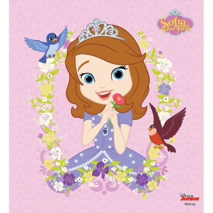 Sofia the first with little birds